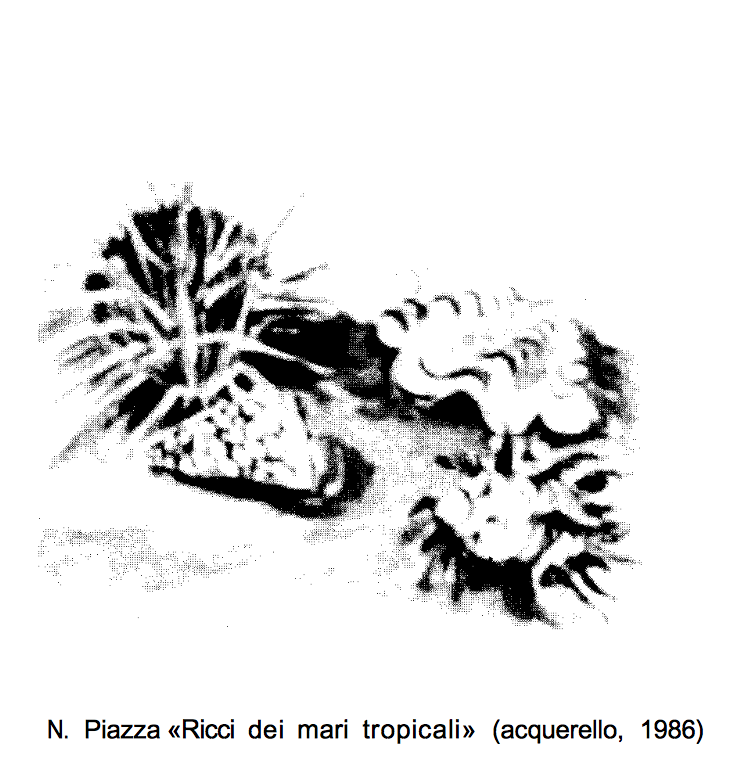 in Spiragli, Anno VIII, n. 1, 1996,  pag. 44